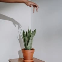 Producto de prueba - Imagen 3