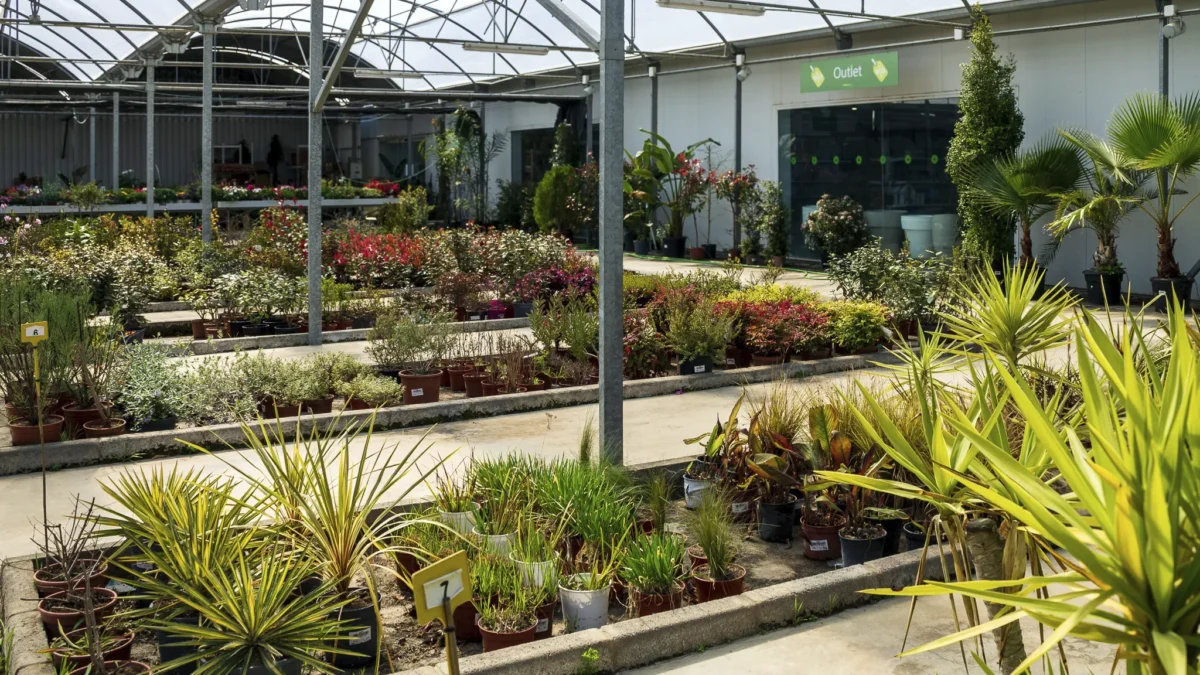 dijardin instalaciones