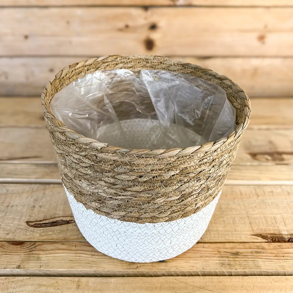 Cubremacetas Anea con Base en Blanco - Imagen 3