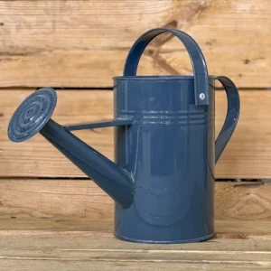Regadera Zinc 2L