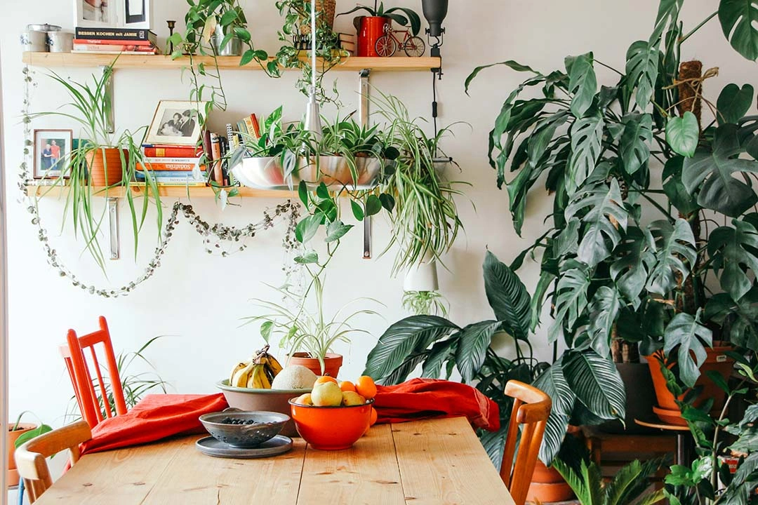 Salón con diseño biofílico en casa y plantas de interior integradas en la decoración