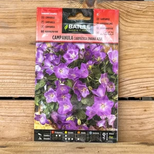 Semillas Campanula Carpática Enana Azul