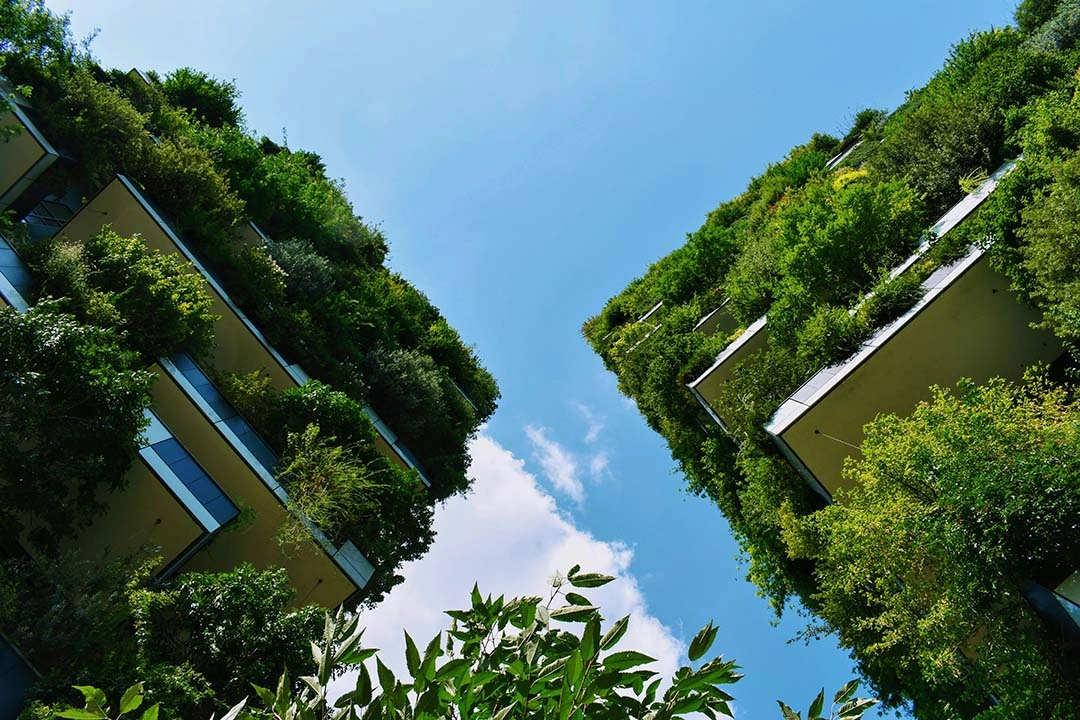 Espacio exterior con abundantes plantas y elementos naturales inspirado en la arquitectura biofílica