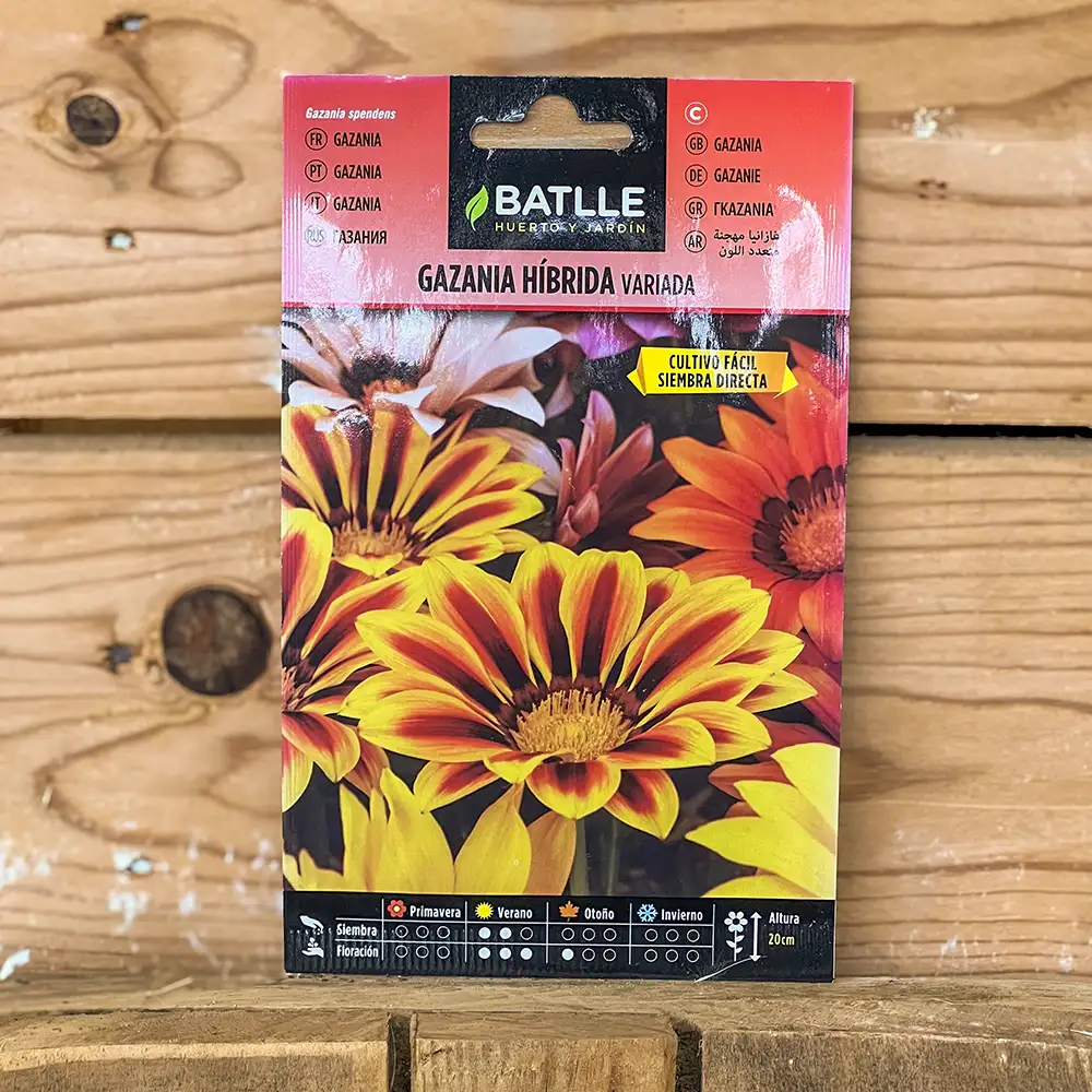 Semillas Gazania