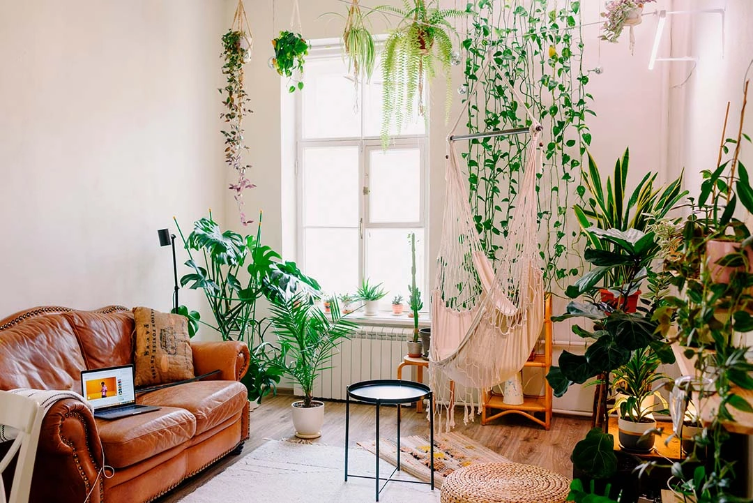 Plantas de interior decorando un hogar con estilo natural y diseño biofílico