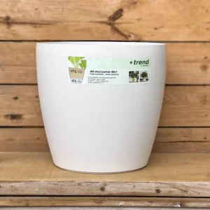 La maceta de autorriego Lechuza de 35 cm incorpora un sistema de reserva de agua que permite a las plantas absorber únicamente el agua que necesitan a través de sus raíces. Es la solución perfecta para quienes buscan un mantenimiento más sencillo o pasan varios días fuera de casa durante el verano. Su depósito de agua ayuda a mantener la humedad del sustrato durante más tiempo, reduciendo la frecuencia de riego y favoreciendo un crecimiento saludable. Además de su funcionalidad, su diseño moderno la convierte en una opción ideal para decorar interiores, terrazas y balcones. Compra online con envío a toda la España peninsular o, si lo prefieres, recógela en nuestro centro de jardinería de Don Benito (Badajoz).