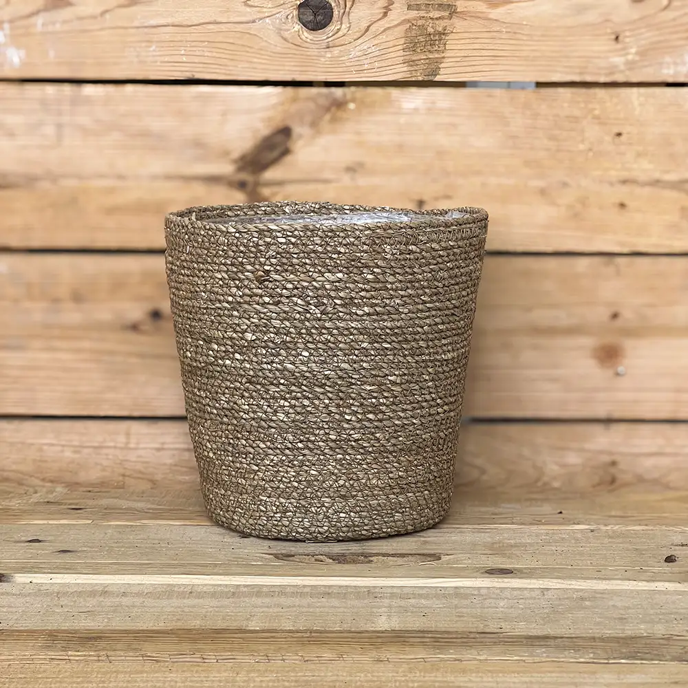 Macetero decorativo de seagrass natural con un elegante acabado trenzado, ideal para aportar textura y calidez a la decoración de tu hogar. Su diseño sencillo y natural combina a la perfección con plantas de interior y diferentes estilos decorativos.