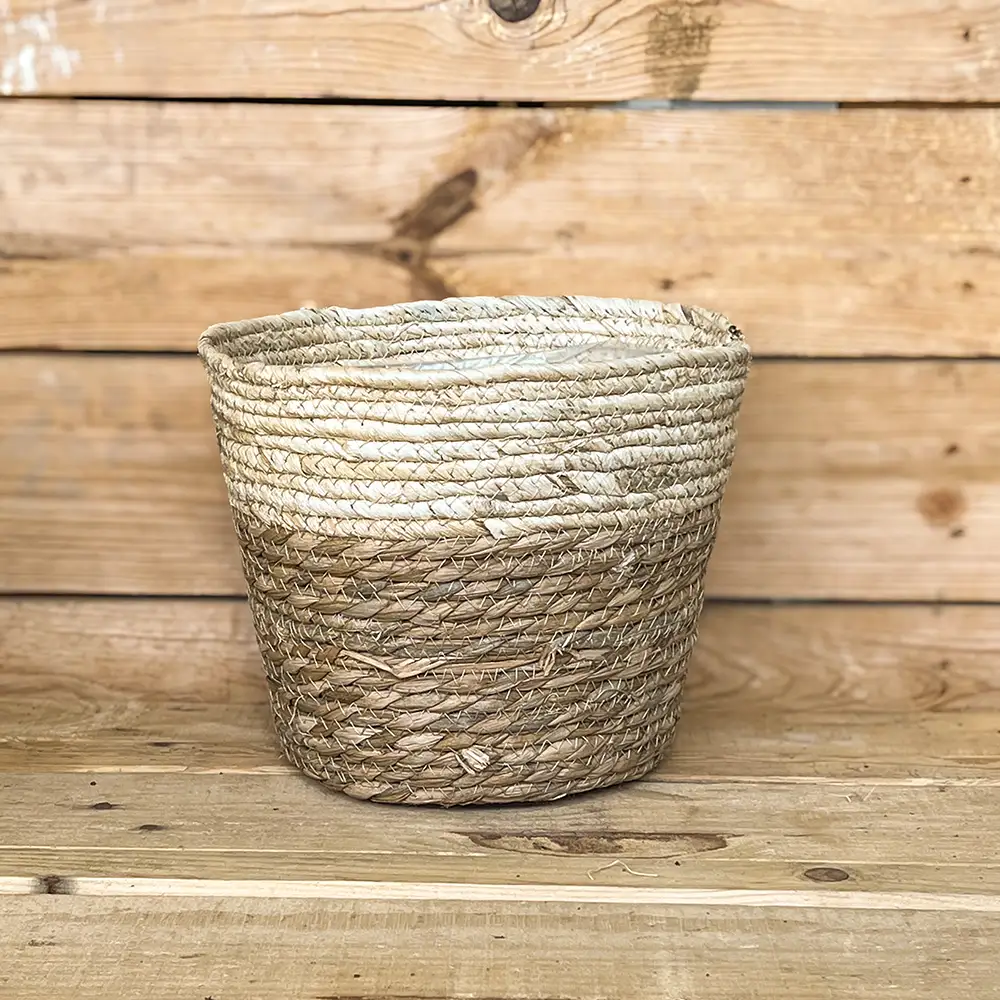 Macetero de anea natural con borde crema, ideal para aportar calidez y un toque rústico a la decoración de tu hogar combinado con plantas de interior. Su diseño trenzado y su acabado en fibras naturales lo convierten en un complemento perfecto para vestir tus plantas.