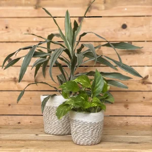 Macetero decorativo de yute y algodón con un bonito acabado jaspeado en tonos naturales y blancos. Su diseño trenzado aporta textura y calidez, ideal para dar un toque acogedor y natural a la decoración de tu hogar. Disponible en dos tamaños.